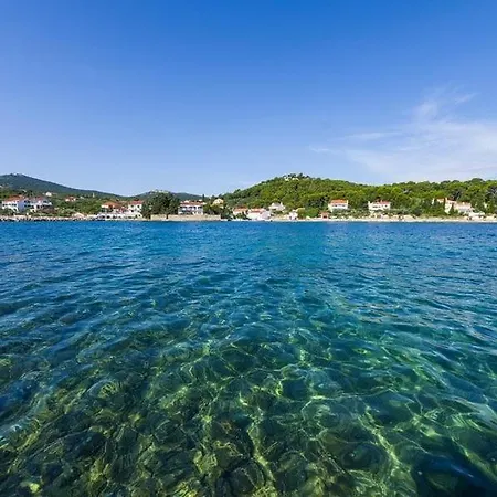 Holiday